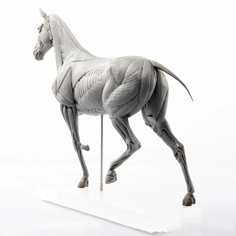 EVOLABORATORY Modello di Anato - Resin Art Decoration Items recensione e prezzo