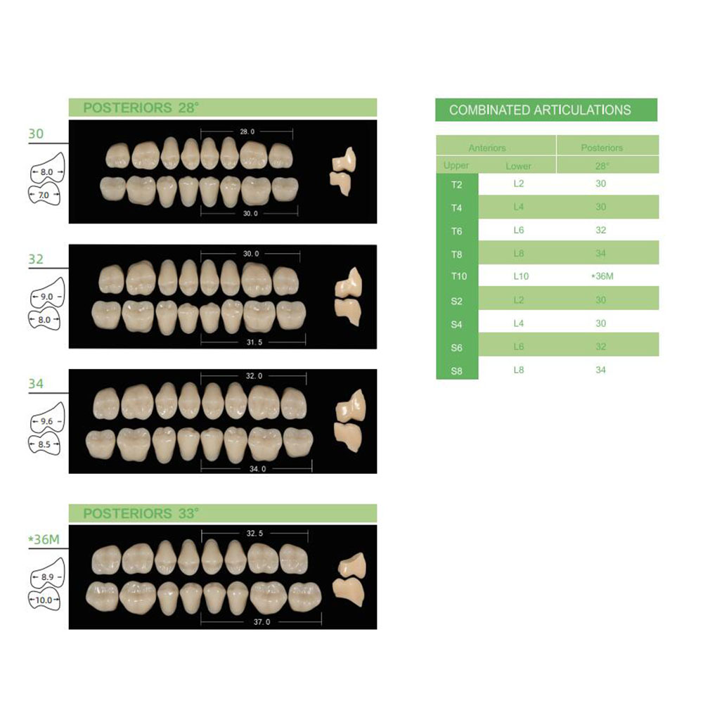4/12/16 set/scatola Dentale Re - Resin Art Case recensione e prezzo