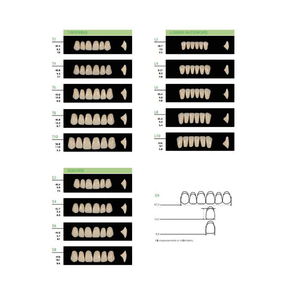 4/12/16 set/scatola Dentale Re - Resin Art Case recensione e prezzo